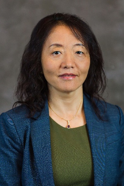 Dr. Yan Li, Vice President, Western Digital